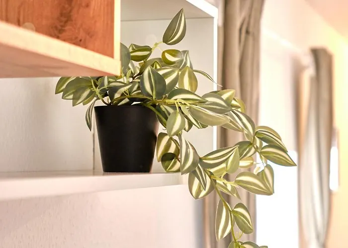 Neu! Historischer Altbau In Ruhiger Lage *